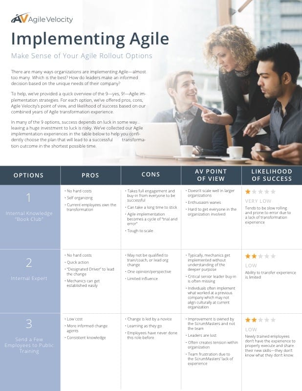 Implementation Options Agile Implementation Options | Agile Velocity White Papers